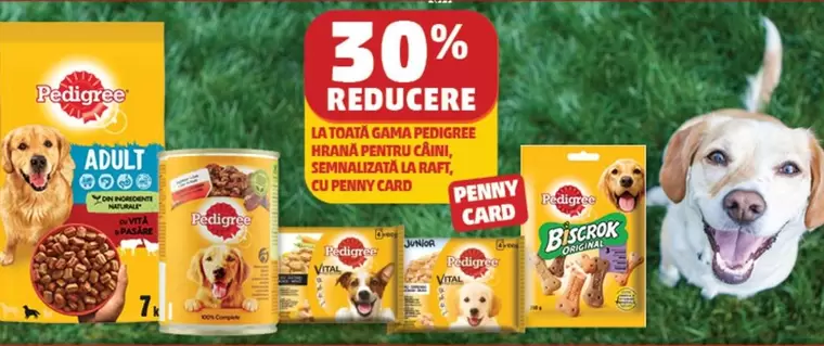 mâncare pentru câini