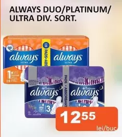 Always - DUO/PLATINUM/ULTRA DIV. SORT.