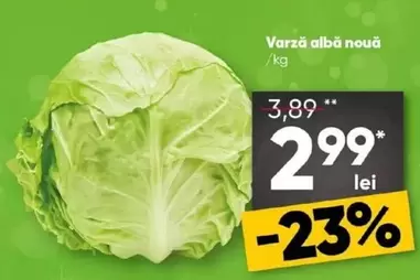 Varză albă nouă
