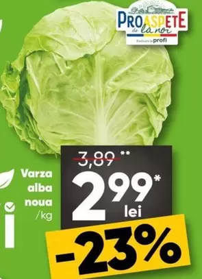 Varza alba noua