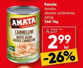 Fasole Cannellini
