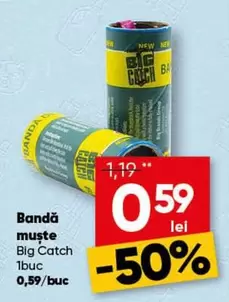 muste Big Catch