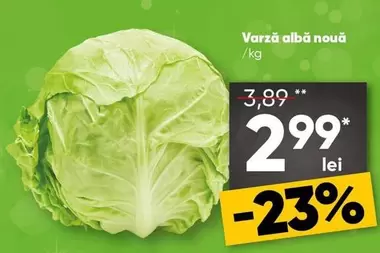 Varză albă nouă