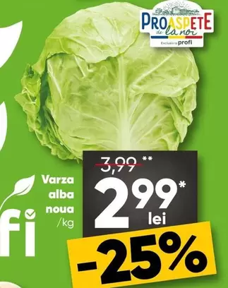 Varza alba noua