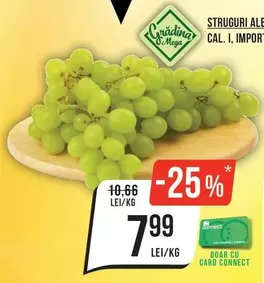 STRUGURI ALE