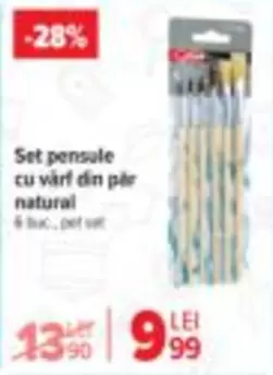 Set pensule cu vârf din păr natural