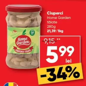 Ciuperci