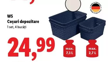 Coşuri depozitare