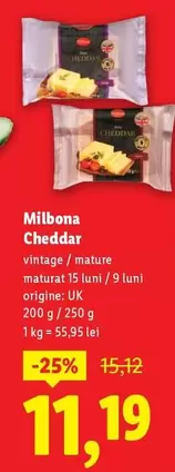Cheddar