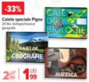 Caiete speciale Pigna