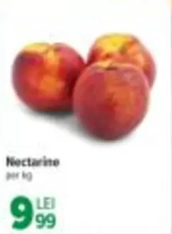Nectarine