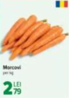 Morcovi