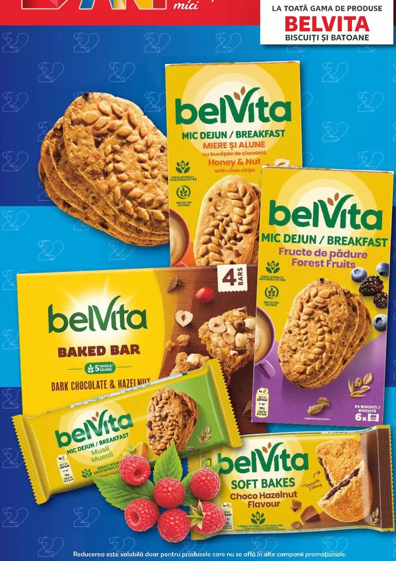 Forest - BELVITA