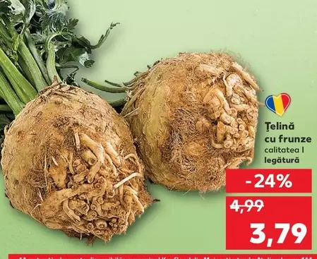 Țelină cu frunze