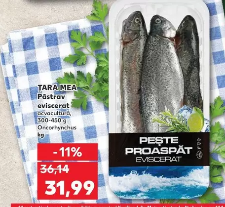 Păstrav eviscerat