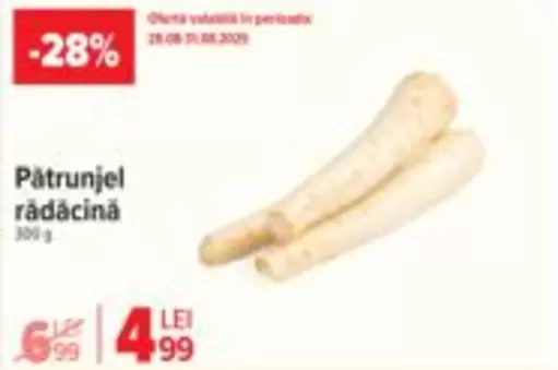 Pătrunjel rădăcină