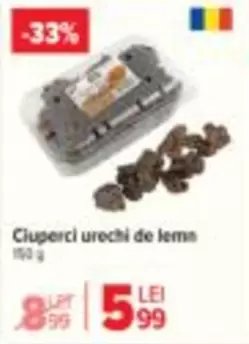 Ciuperci urechi de lemn