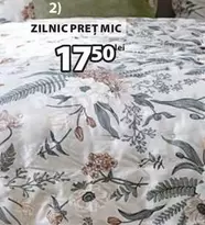 ZILNIC PREȚ MIC