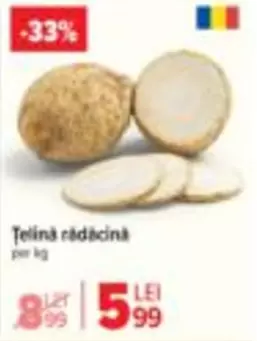 Țelină rădăcină