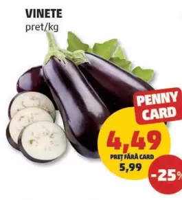 VINETE