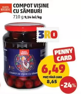COMPOT VISINE CU SÂMBURI