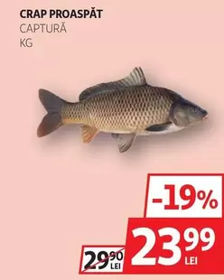 CRAP PROASPĂT