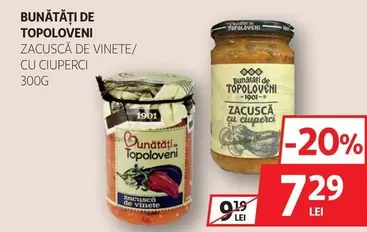 ZACUSCĂ DE VINETE/ CU CIUPERCI