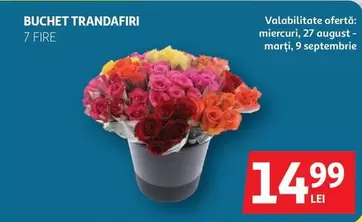 BUCHET TRANDAFIRI