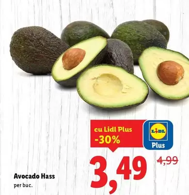 Avocado Hass