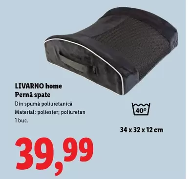 Pernă spate
