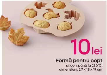 Formă pentru copt