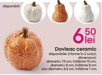 Dovleac ceramic