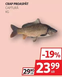 CRAP PROASPĂT