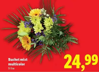 Buchet mixt multicolor