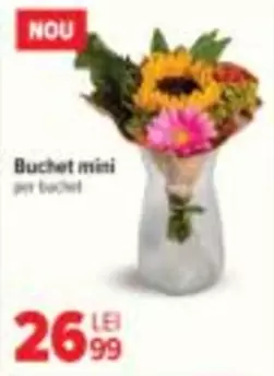 Buchet mini