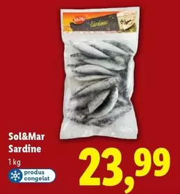 Sardine