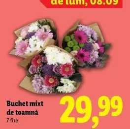 Buchet mixt de toamnă