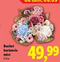 Buchet hortensie mixt