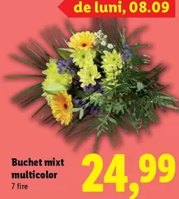 Buchet mixt multicolor