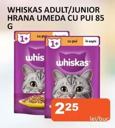 ADULT/JUNIOR HRANA UMEDA CU PUI