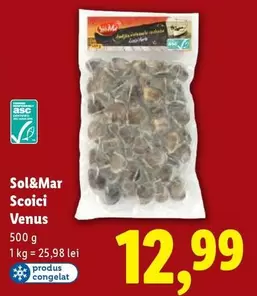Venus - Scoici