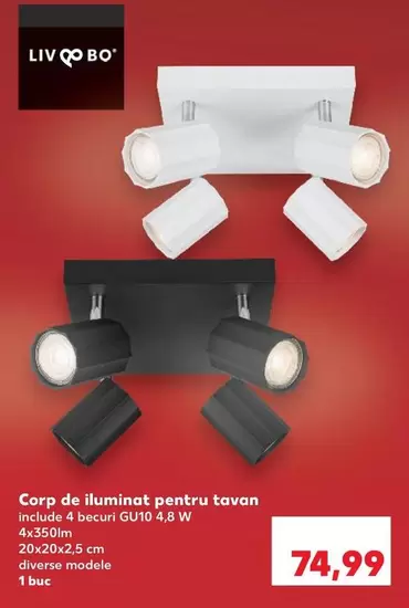 Corp de iluminat pentru tavan