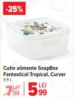 Cutie alimente SnapBox Fantastical Tropical, Curver