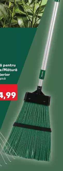 Greblă pentru frunze/Mătură de exterior