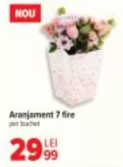 Aranjament 7 fire
