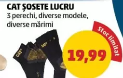 ŞOSETE LUCRU