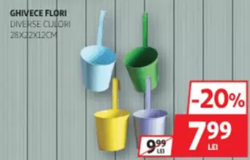 GHIVECE FLORI
