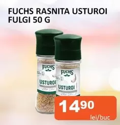 RASNITA USTUROI