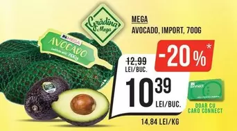AVOCADO, IMPORT