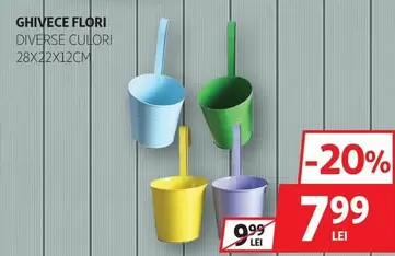 GHIVECE FLORI